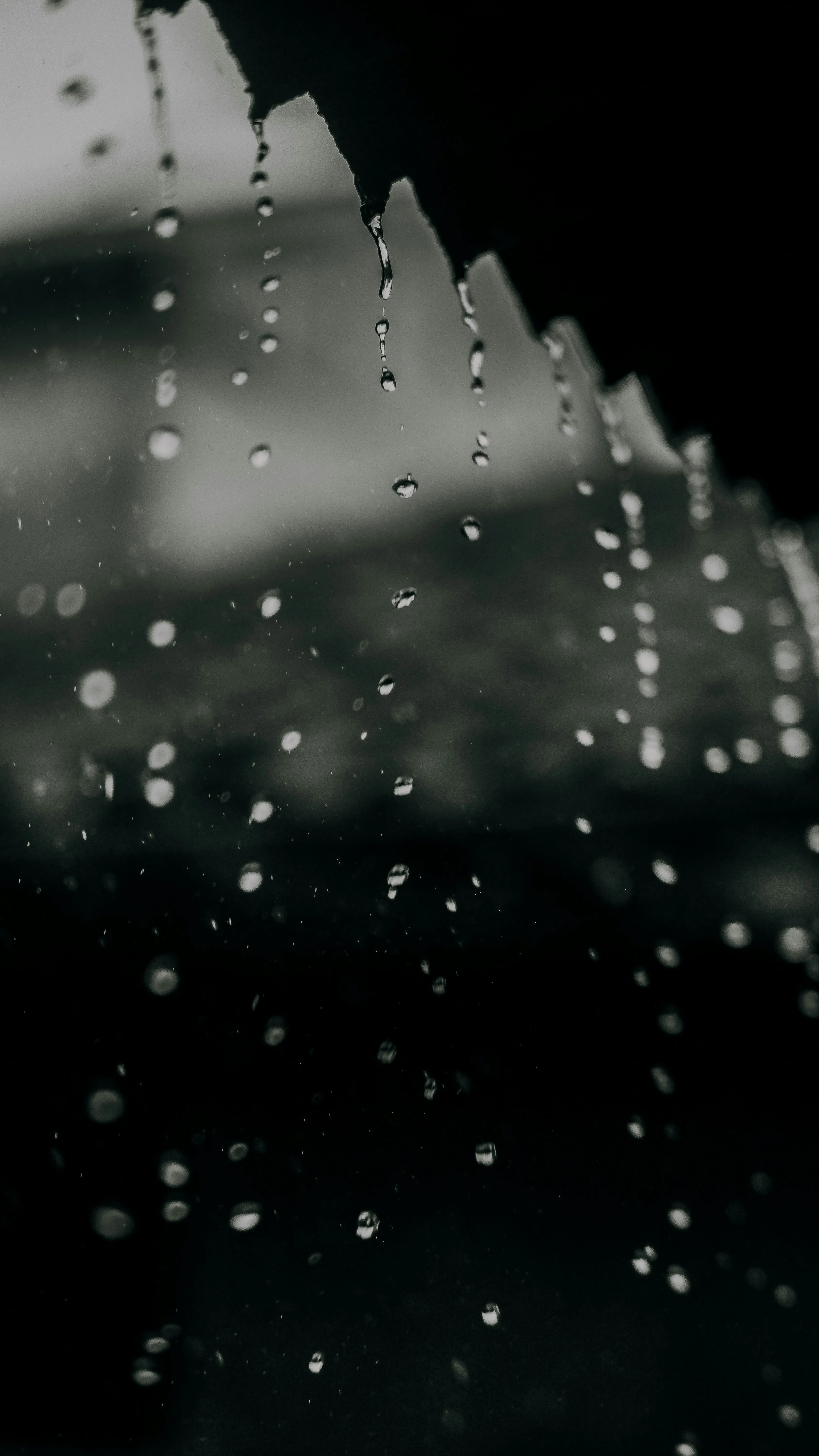 rain